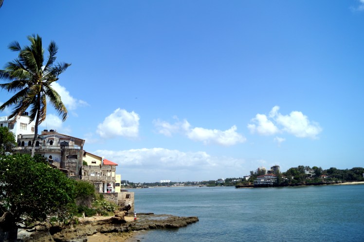 DSC07244