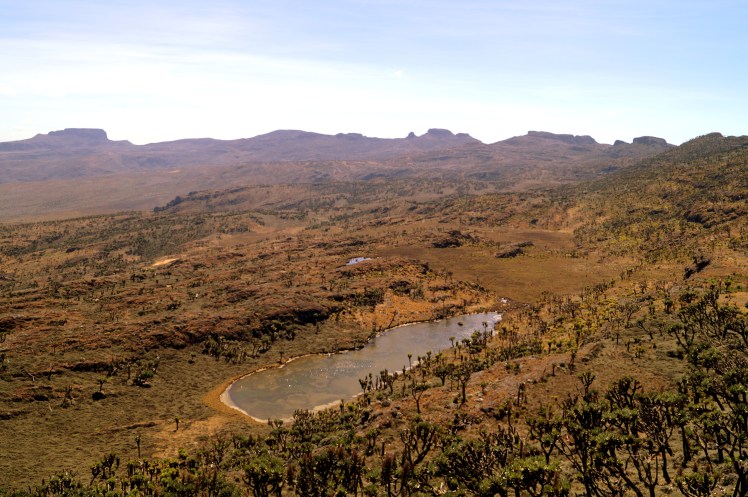 DSC09101