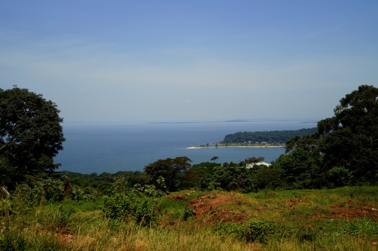 DSC09366